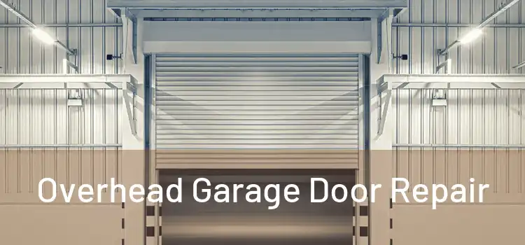  Overhead Garage Door Repair 
